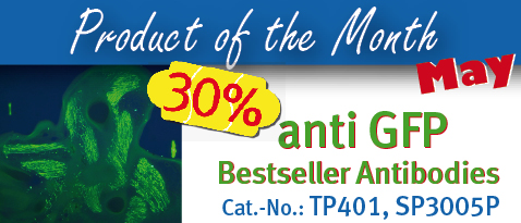 Product of the Month