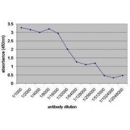 SM1691PS