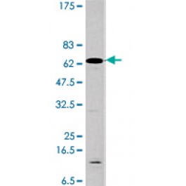 PAB0405