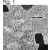 Figure 1 shows immunolocalization of SERCA1 ATPase in canine skeletal muscle using SM5105.