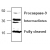 Western blot analysis of Caspase-9 expression with mouse small intestine tissue lysate.