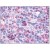 Immunohistochemical staining of spleen red pulp using anti-P2RY6 antibody SP4011P