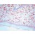 Figure 1. Staining of frozen rat skin sections using mouse anti rat Prolyl-4-Hydroxylase beta (fibroblast marker) antibody 6-9H6 (AF5110-1).