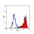 Flow Cytometry: Staining of Mouse J774 cells with RPE conjugated Rat Anti Mouse F4/80 Antigen (BM4008R).