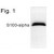 Figure 1 shows a Western blot of S100-alpha from human muscle extract using S100 alpha antibody SP5355P.