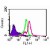 Intracellular flow analysis in 1x10e6 Ramos cells using 0.5 ug of TLR7 antibody. Shaded histogram represents Ramos cells without antibody; green represents isotype control; red represents anti-TLR7 antibody.