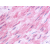 Immunohistochemical staining of Vascular smooth muscle using anti-HTR1B antibody SP4041P.