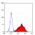 Flow Cytometry: Staining of KG1 cells with Mouse anti Human fibroblast antibody.