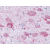 SP4420P NPY1R antibody immunohistochemical staining of Brain