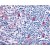 Immunohistochemical staining of Tonsil (Germinal Center and Mantle Zone) using anti- CCR8 antibody SP4671P