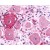 Immunohistochemical staining of Spinal cord (Dorsal root ganglion) using anti- HTR1D antibody SP4691P