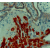 Formalin fixed paraffin embedded human placenta stained with MMP-2 antibody. DM312