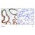 Figure 1. Immunohistochemical analysis of paraffin-embedded human breast carcinoma tissue, using 14-3-3 zeta antibody AP02701PU.