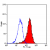 Staining of J774 cells with Rat Anti Mouse F4/80 Antibody -Low Endotoxin Cat.-No BM4008LE