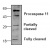 Western blot analysis of Caspase 11 with 3T3 cell lysate.