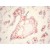 BM4021 CD163 antibody staining of Human Placenta Frozen Section.