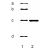 Lane 1: Phosphorylase B (a), BSA (b), Ovalbumin (c), Carbonic Anhydrase (d). Lane 2: Keratin K18