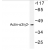 Western blot  analysis using gamma 2 smooth muscle Actin / ACTG2 antibody Cat.-No. AP06002PU-N in extracts from COLO205 cells.