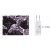 Left: Immunohistochemical staining of oesophageal tumors using Act-MMP9 antibody. Right: Western blot using MMP9 antibody on recombinant human proenzyme MMP9 (left lane) and activated enzyme (right lane).