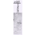 Western Blot