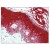AP07689PU-N Caspase-14 antibody staining of Formalin-Fixed Paraffin-Embedded Human Skin at 5 µg/ml followed by biotinylated goat anti-rabbit IgG secondary antibody, alkaline phosphatase-streptavidin and chromogen.