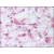 Skin, granulation tissue: Formalin-Fixed Paraffin-Embedded (FFPE)