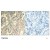 Figure 1. Immunohistochemical analysis of paraffin-embedded human lung carcinoma tissue using STAT2 Antibody AP08100PU.