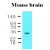 Western blot analysis: The extracts of mouse brain (50 ug) were resolved by SDS-PAGE, transferred to NC membrane and probed with anti-human 14-3-3 epsilon (1:1000). Proteins were visualized using a goat anti-mouse secondary antibody conjugated to HRP and an ECL detection system.