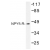 Western blot (WB) analysis of NPY5-R antibody in extracts from COLO/Jurkat/HepG2 cells.