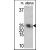 Figure 1. Western blot  using VABP Mab (Cat. #AM11024PU-N) to detect VABP in mouse uterus tissue lysate.
