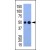 figure 1. Western blot analysis of anti-HA tag Pab (Cat. #AP11018PU-N)in HA-tagged recombinant protein bacterial lysate.
