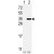 Western blot analysis of BCL2L1(arrow) using rabbit polyclonal BCL2L1 antibody (N-term). 293 cell lysates (2 ug/lane) either nontransfected (Lane 1) or transiently transfected with the BCL2L1 gene (Lane 2) (Origene Technologies).