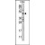 Western blot analysis of anti-CASP9 Antibody (Center) in CEM cell line lysates (35ug/lane).CASP9(arrow) was detected using the purified Pab.