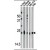 Western blot analysis of anti-Park7 (DJ-1) Antibody (N-term) in mouse brain,kidney,liver tissue lysates and NIH-3T3, Hela cell line lysates (35ug/lane). Park7 (arrow) was detected using the purified Pab.