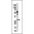 Western blot analysis of anti-KLK15 Pab in mouse kidney tissue lysate.KLK15(arrow) was detected using the purified Pab.