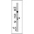 Western blot analysis of anti-KLK9 Pab in mouse brain tissue lysate.KLK9(arrow) was detected using the purified Pab.