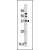 Western blot analysis of anti-KLK11 Pab in mouse brain tissue lysate. KLK11(arrow) was detected using the purified Pab.