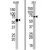 Western blot analysis of anti-mTLR6-N11 Pab (AP11537PU-N) in HL60 and 293 cell line lysates (35 µg/lane). mTLR6-N11 (arrow) was detected using the purified Pab (1:62 dilution).