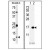(LEFT) Western blot analysis of anti-S100A11 Antibody (Cat.#AP12456PU-N) in Sk-BR-3 cell line lysates (35ug/lane). S100A11 (arrow) was detected using the purified Pab. (RIGHT) Western blot analysis of S100A11 (arrow) using rabbit polyclonal S100A11 Antibody (Cat.#AP12456PU-N).293 cell lysates (2 ug/lane) either nontransfected (Lane 1) or transiently transfected with the S100A11 gene (Lane 2) (Origene Technologies).
