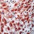 AP15558PU VEGFR-3/Flt-4 antibody staining of Human Placenta.