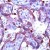 Human placenta stained with Anti-MMP-9 antibody