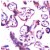 Human placenta stained with Anti-MMP-2 antibody