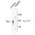 Figure 1. Western blot of rat brain homogenate showing specific immunolabeling of the ~59, 65, 68k Tau isoforms phosphorylated at Ser416(control). Immunolabeling is blocked by preadsorption with the phospho-peptide used as antigen (Peptide) but not by the corresponding dephospho-peptide (not shown).
