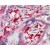 AP16584PU-N (2.5µg/ml) staining of paraffin embedded Human Placenta. Steamed antigen retrieval with citrate buffer pH 6, AP-staining.