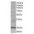 AP16260PU-N BCL2 antibody staining (1µg/ml) of Human Lymph Node lysate (RIPA buffer, 35µg total protein per lane). Primary incubated for 1 hour. Detected by western blot using chemiluminescence.