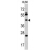 Western blot analysis of CASP1 antibody (Center) (AP17180PU-N) in HL60 cell line lysates (35 µg/lane). CASP1 (arrow) was detected using the purified Pab.