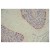 Frozen sections of mouse brain stained with MCHR2 antibody (BP4005).