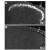 NPY Y2 receptor immunoreactivity in Mouse dorsal root ganglion of wild type (A) and NPY Y2 receptor Knockout (B) animals. Note that unspecific staining is observed in thick, possibly myelinated fibers. Image courtesy of Dr. Tomas Hökfelt, Karolinska Institute.