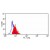 Figure 1. Staining of Human peripheral blood monocytes with Mouse anti Human CD275 antibody (AM05615PU-N)