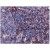 AP15766PU S100A4 Antibody staining of Human Tonsil.